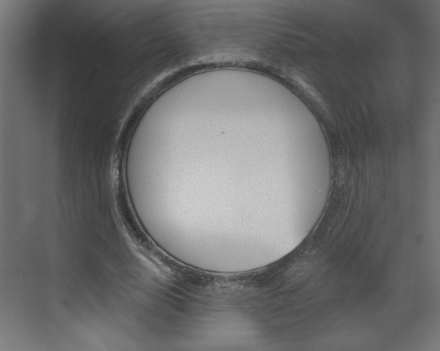 X0000072960632200607211005