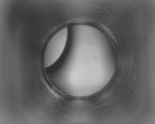 X0000072960633200607211005
