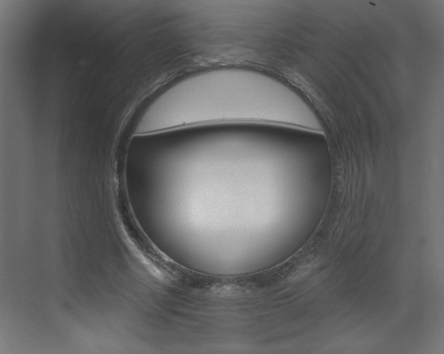 X0000072960634200607211005