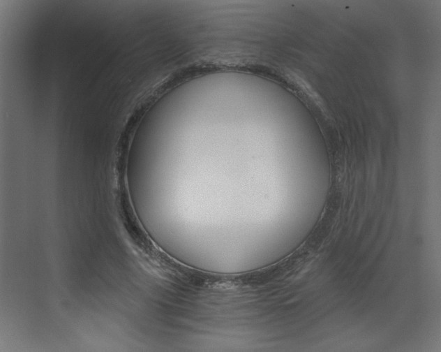 X0000072960635200607211005