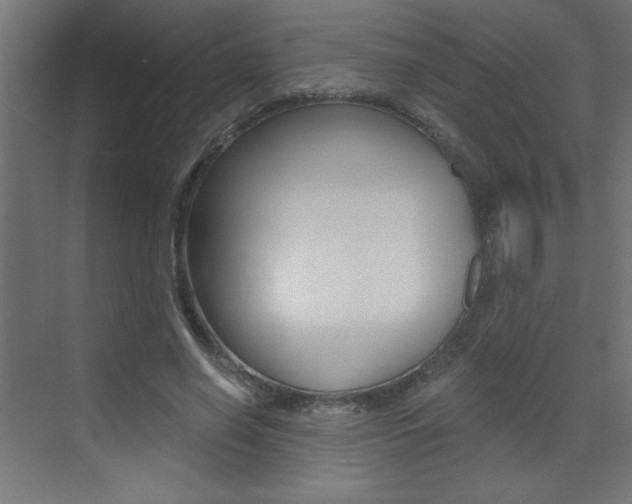 X0000072960638200607211005