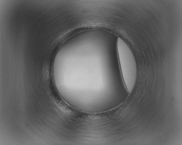 X0000072960640200607211005