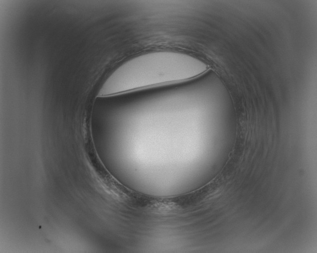 X0000072960642200607211005