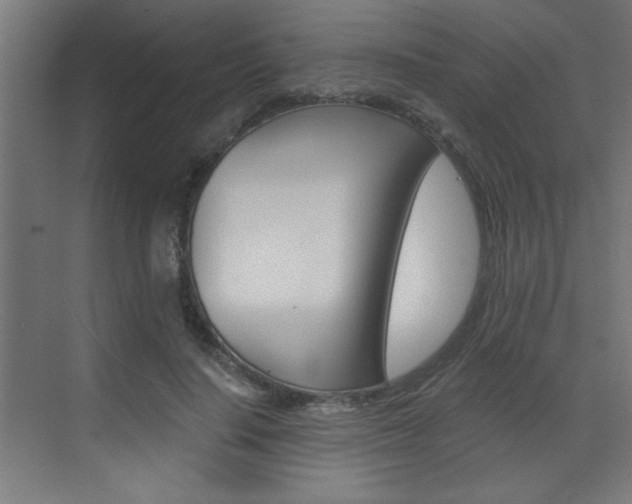X0000072960644200607211005