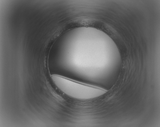 X0000072960646200607211006