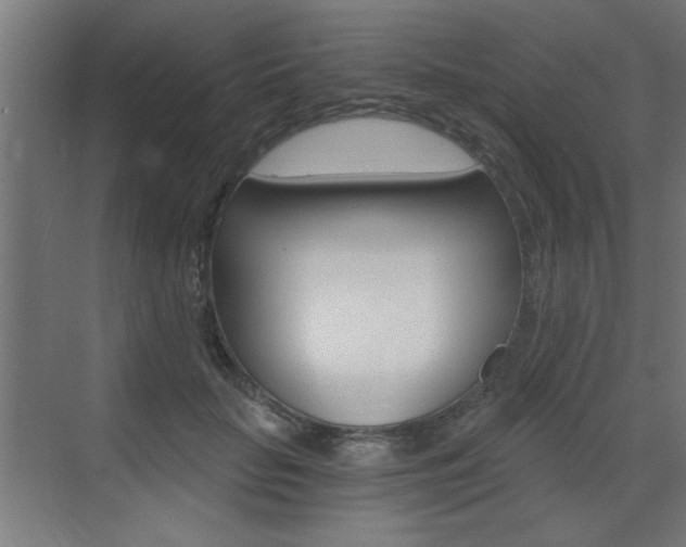 X0000072960653200607211006