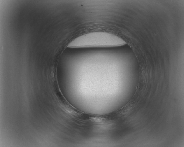 X0000072960654200607211006