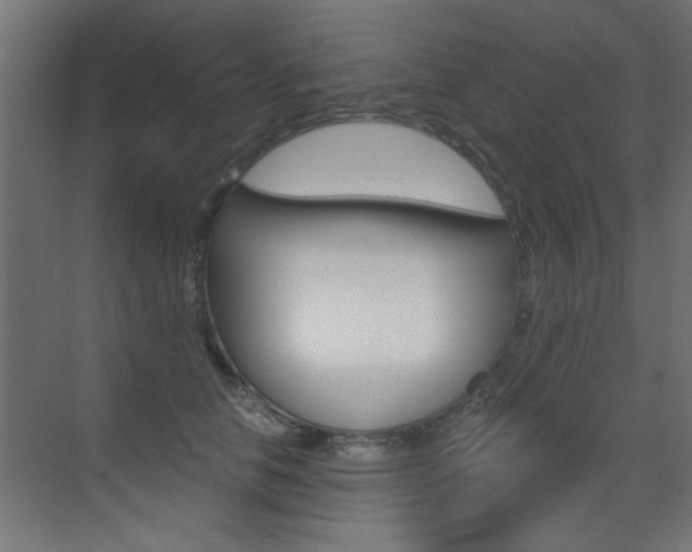 X0000072960658200607211006