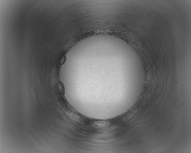 X0000072960659200607211006