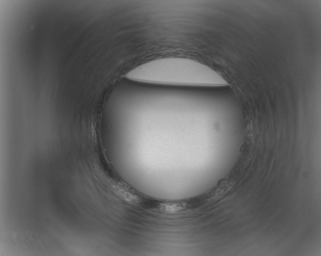 X0000072960662200607211006