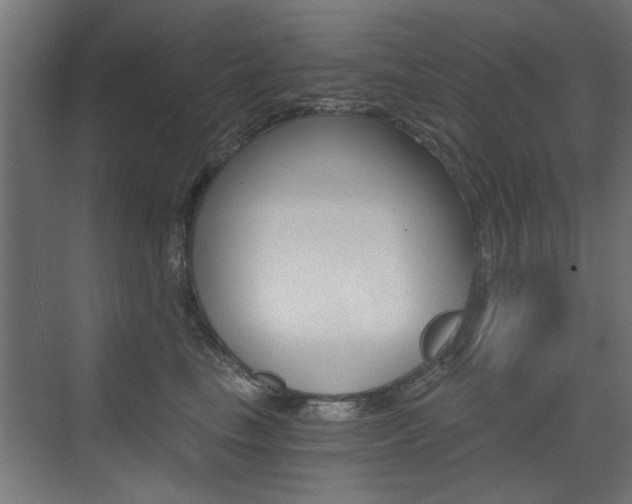 X0000072960665200607211006