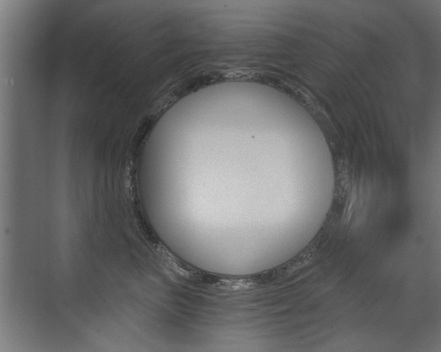 X0000072960667200607211006