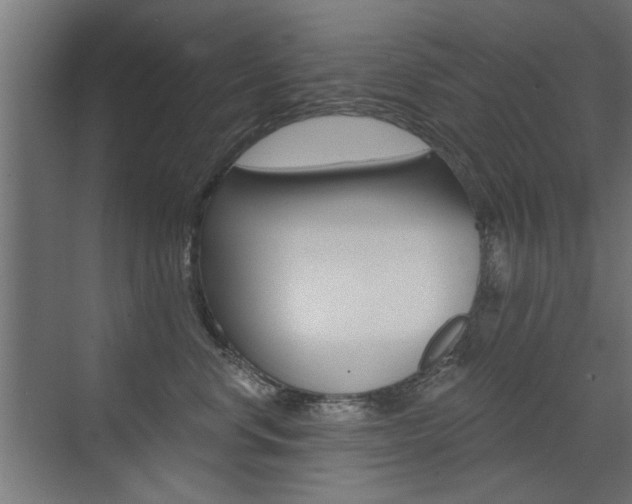 X0000072960668200607211006