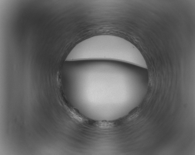 X0000072960670200607211006