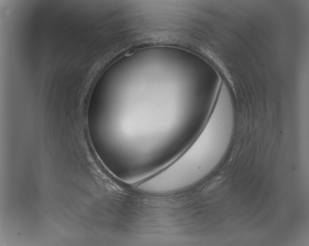 X0000072960673200607211005