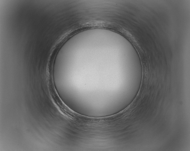 X0000072960674200607211005