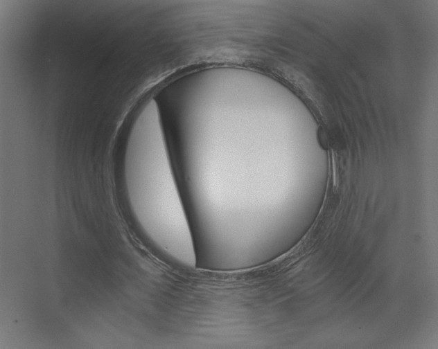 X0000072960675200607211005