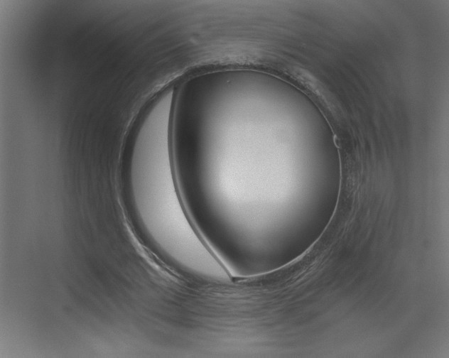 X0000072960677200607211005