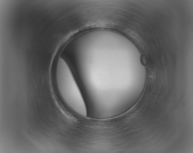 X0000072960678200607211005