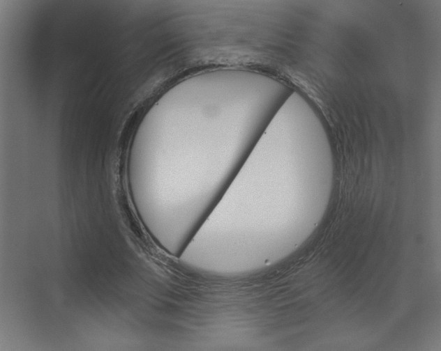 X0000072960679200607211005