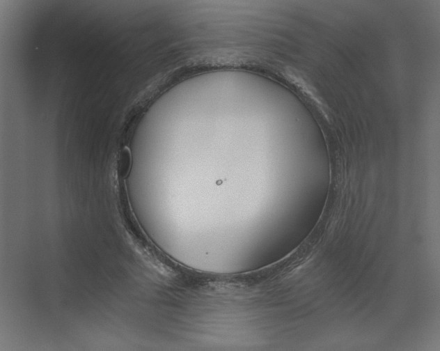 X0000072960681200607211005