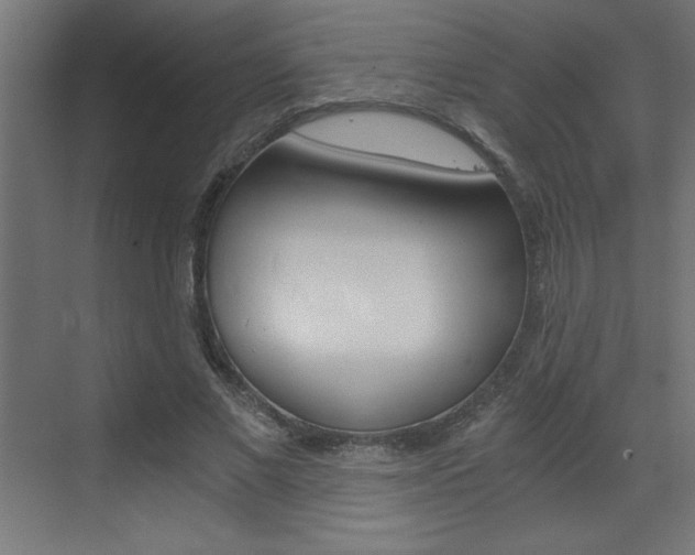 X0000072960685200607211005