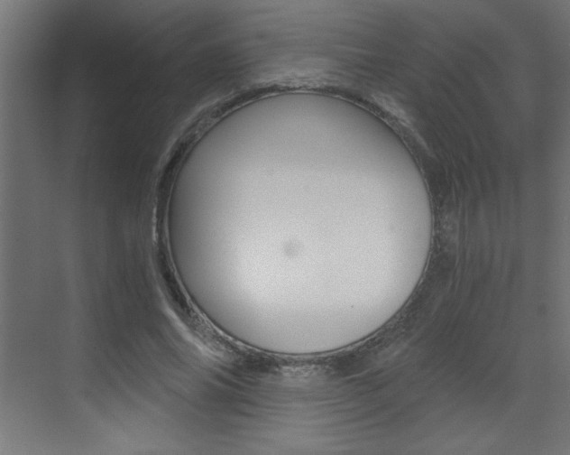 X0000072960686200607211005