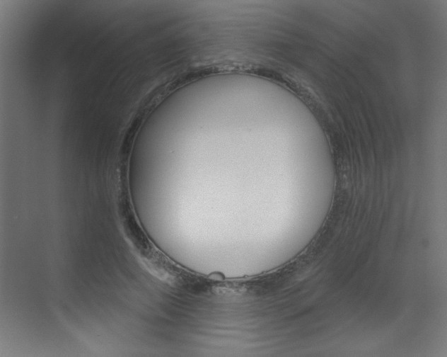 X0000072960690200607211005