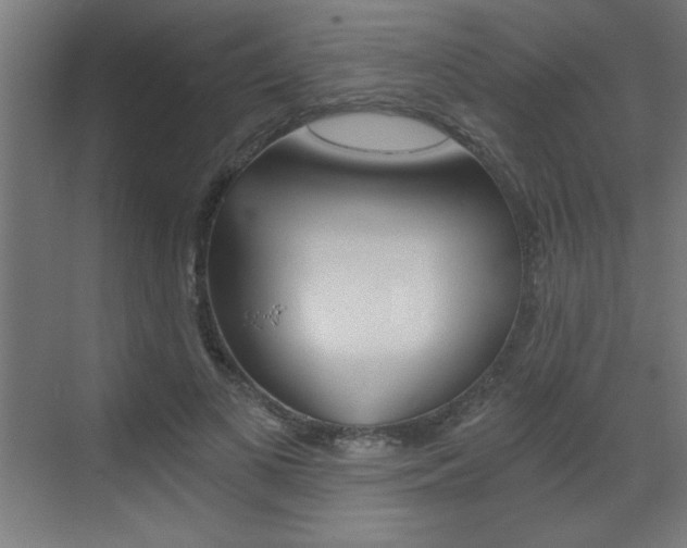 X0000072960693200607211005
