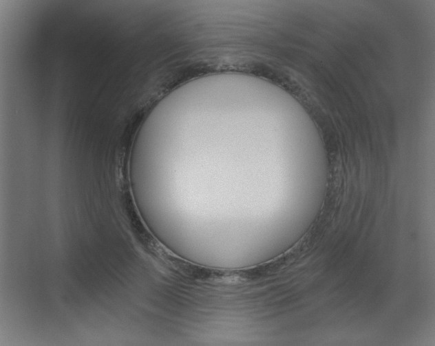 X0000072960695200607211005