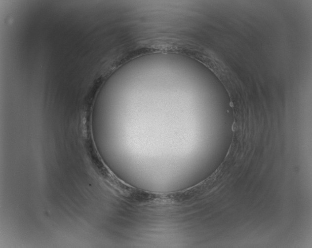 X0000072960696200607211005