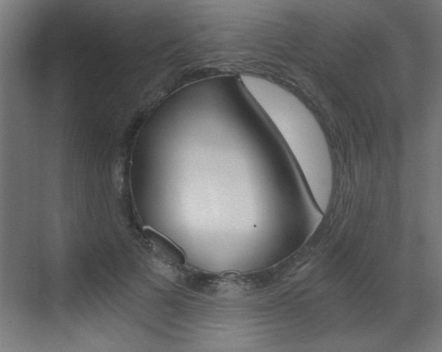 X0000072960697200607211005