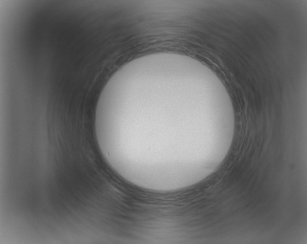 X0000072960701200607211005
