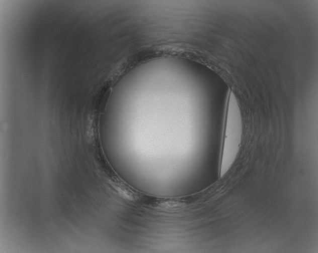 X0000072960708200607211005