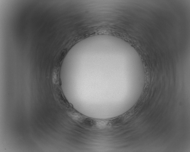 X0000072960709200607211005