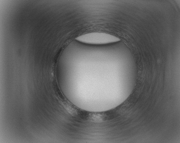 X0000072960710200607211005