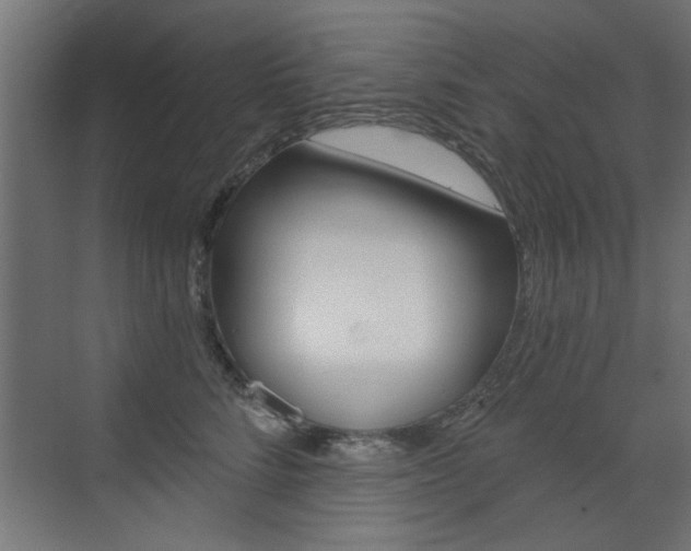 X0000072960712200607211005