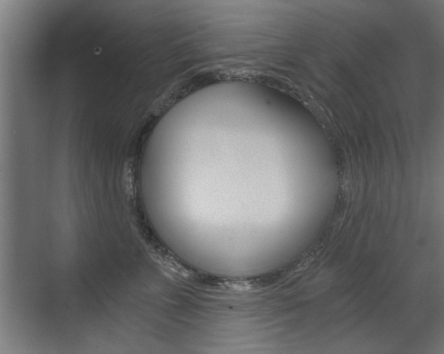 X0000072960715200607211004