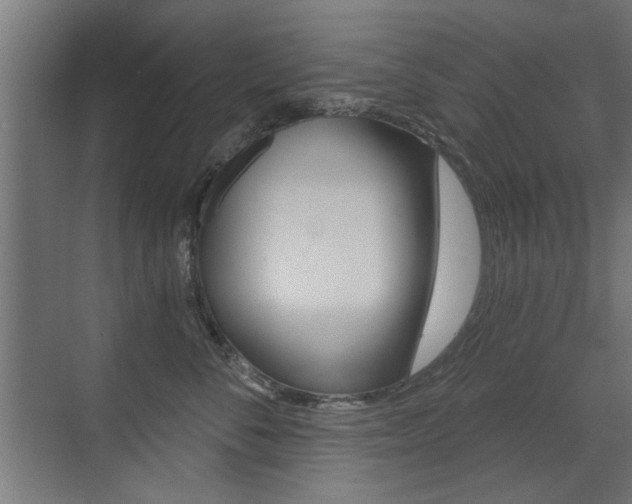 X0000072960716200607211004