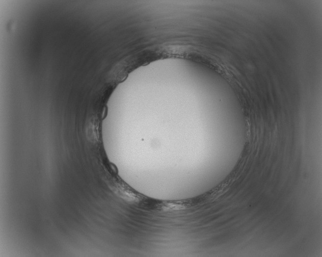 X0000072960718200607211004