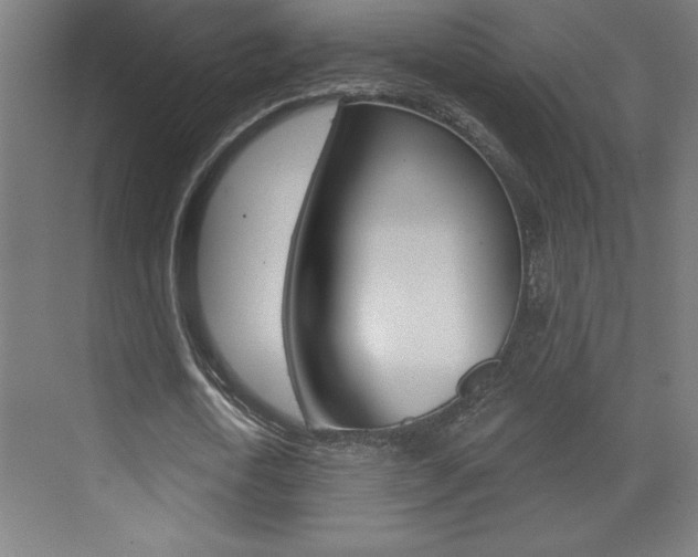 X0000072960722200607211004