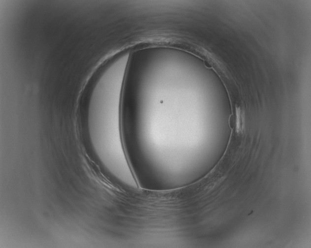 X0000072960723200607211004