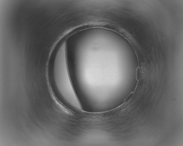 X0000072960726200607211004