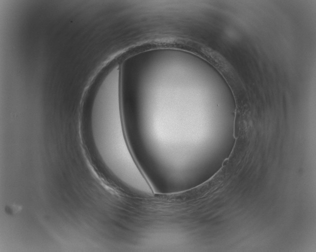 X0000072960728200607211004