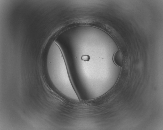 X0000072960731200607211004