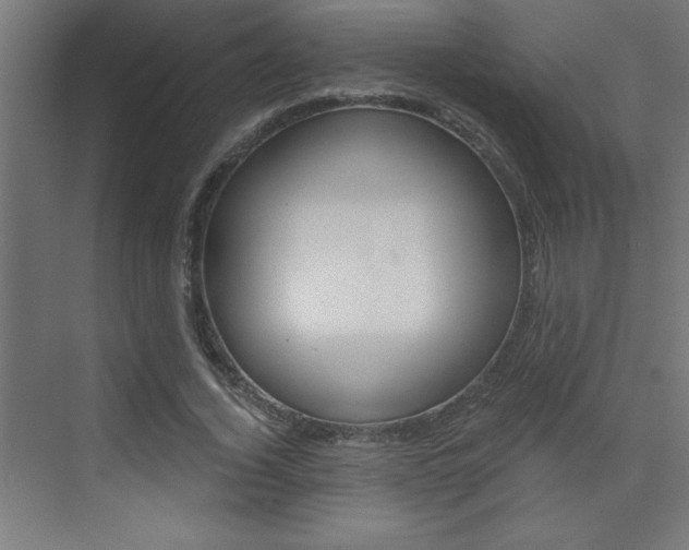 X0000072960732200607211004