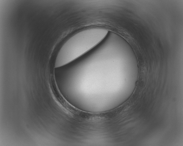 X0000072960734200607211004