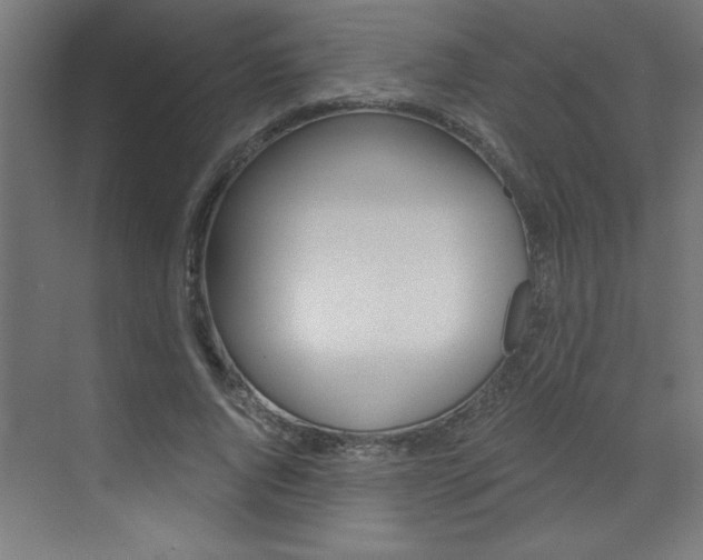 X0000072960736200607211004
