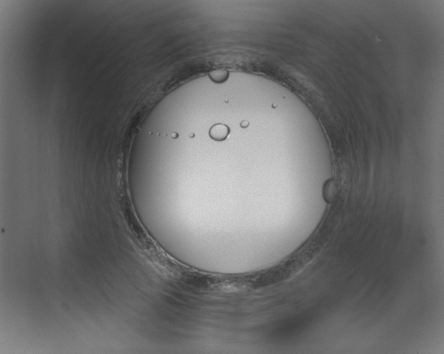 X0000072960737200607211004