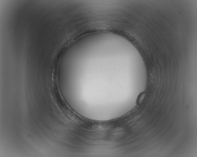 X0000072960739200607211004